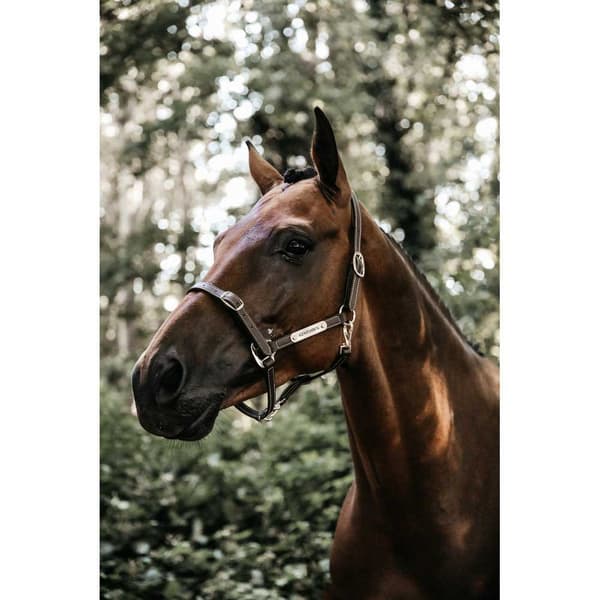 Kentucky Læder Grime Flexible Cob