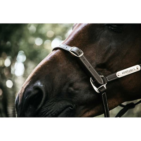 Kentucky Læder Grime Flexible Cob