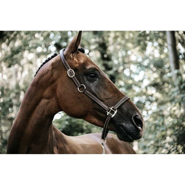 Kentucky Læder Grime Flexible  Full