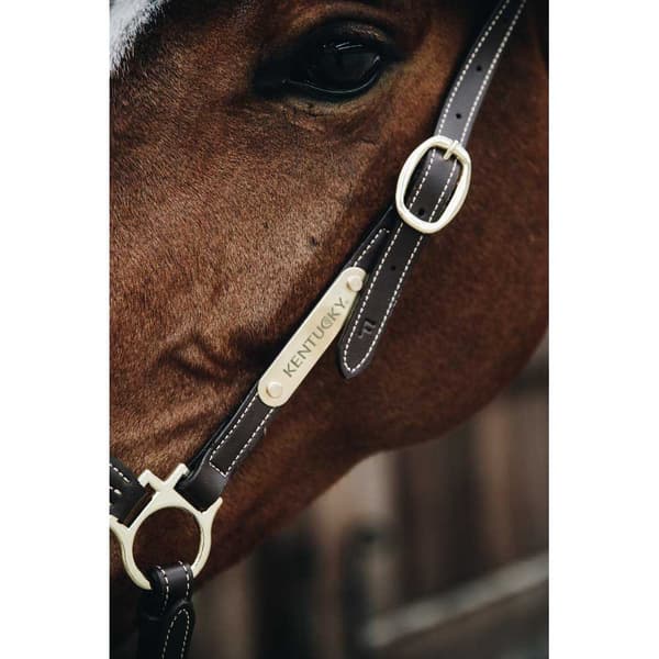 Kentucky Nahka Riimu Grooming  Full