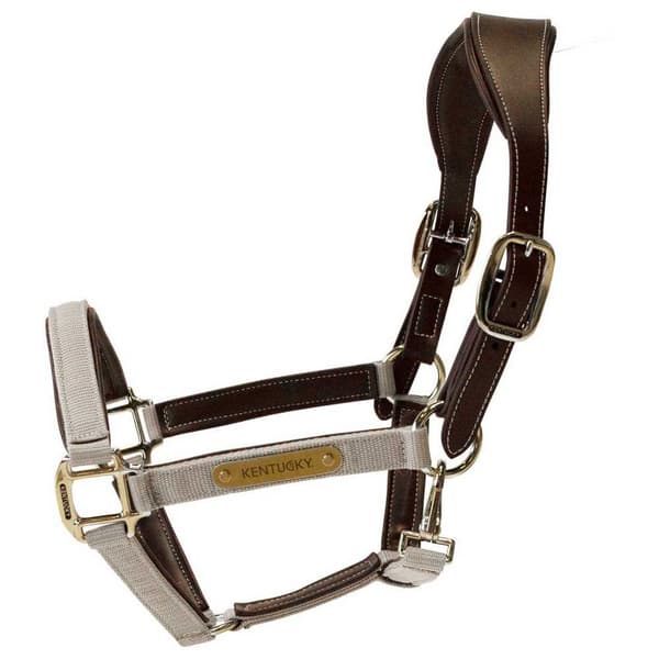 Kentucky Anatominen Riimu Nylon  Cob