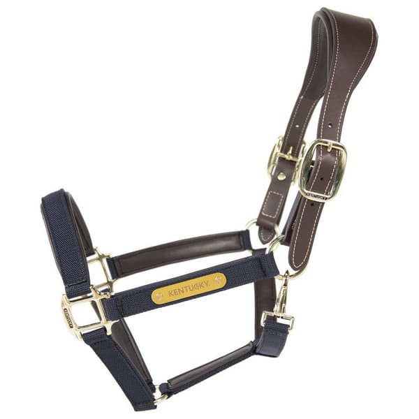 Kentucky Anatomisk Grime Nylon  Full