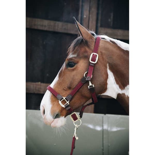 Kentucky Flettet Grime Nylon  Full