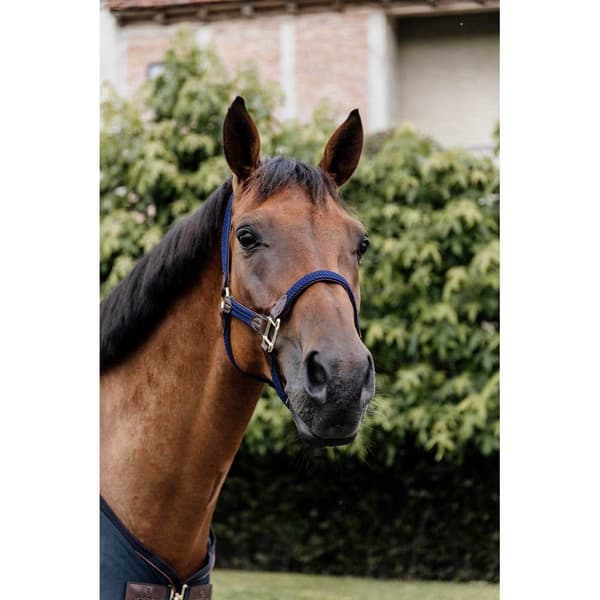 Kentucky Flettet Grime Nylon  Full