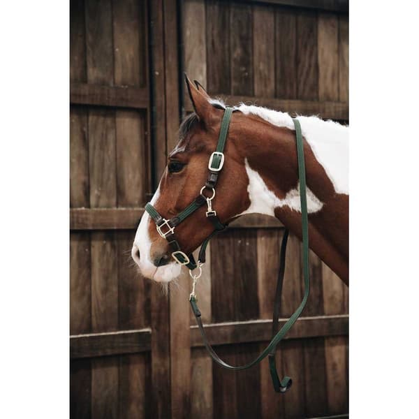 Kentucky Flettet Grime Nylon  Full