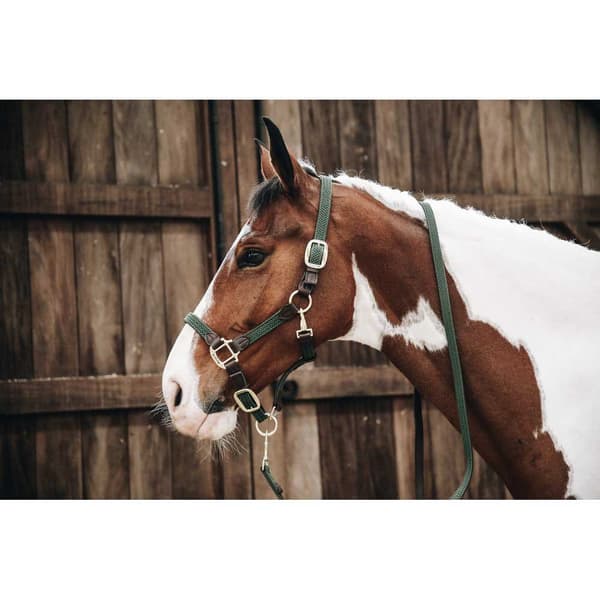 Kentucky Flettet Grime Nylon  Full