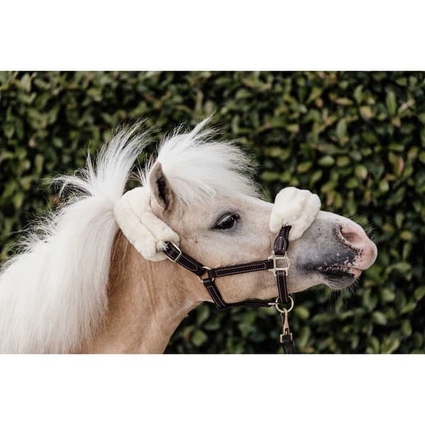 Kentucky Fårskinnslädergrimma  Shetland Pony