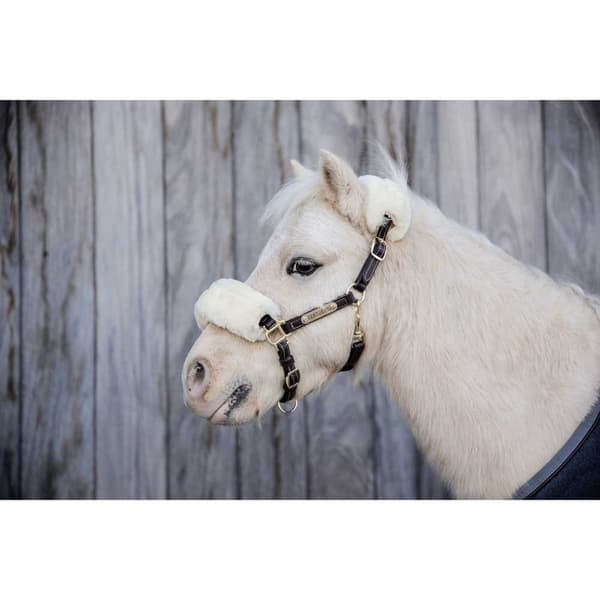 Kentucky Fårskinnslädergrimma  Shetland Pony