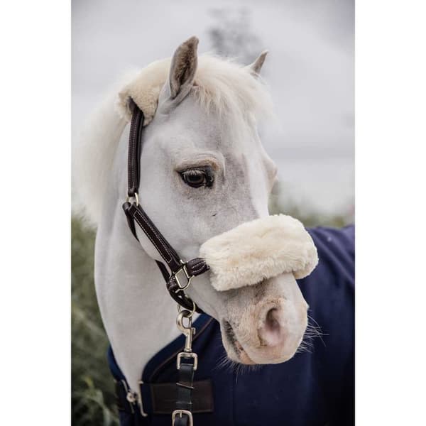 Kentucky Lampaannahkainen Nahkariimu Beige Pony