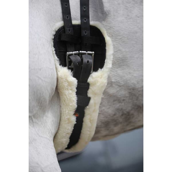 Kentucky Kort Fåreskindsgjord  65 cm