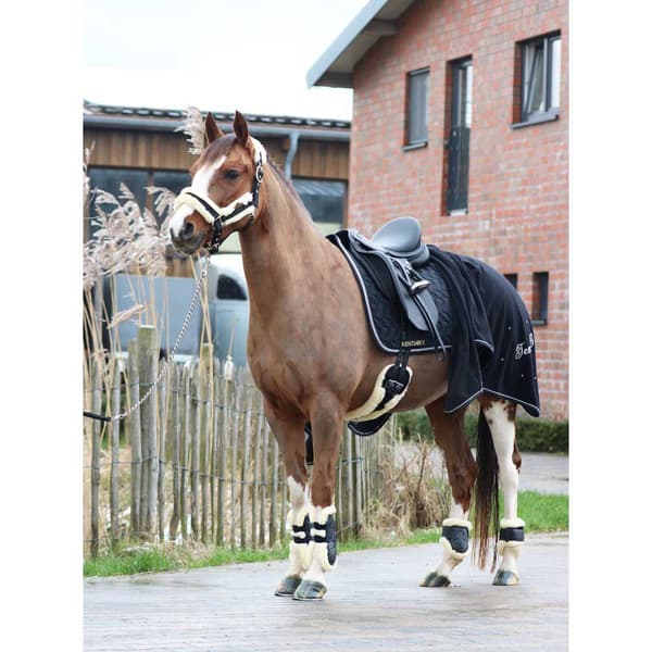 Kentucky Kort Fåreskindsgjord  65 cm