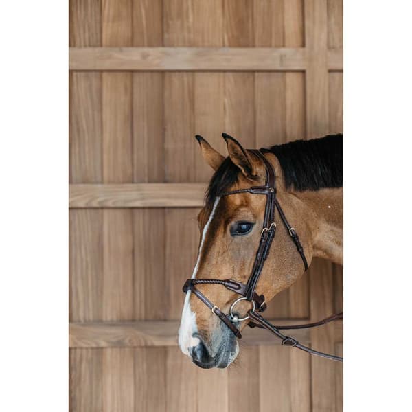 Dyon Flettet Næsebånd Trense Med Aftagelig Flash  Pony