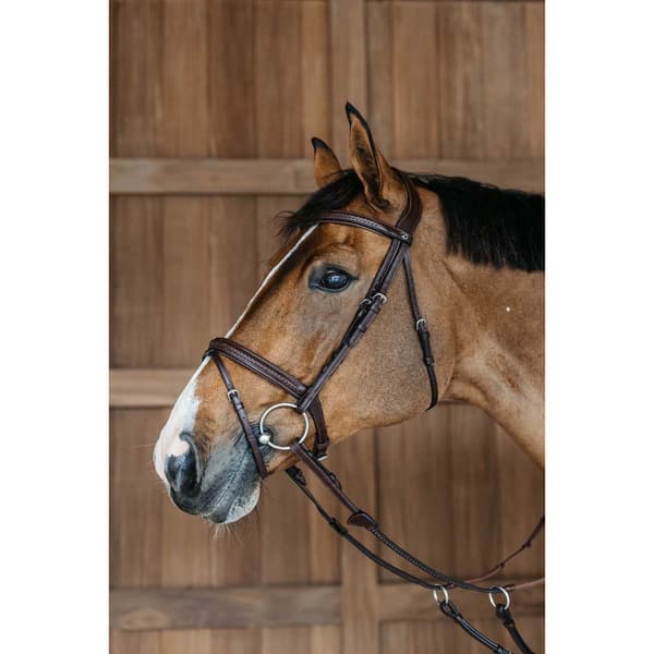 Dyon Flash-nenänauhasuitset Ne  Pony