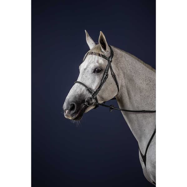 Dyon Næsebåndstøj Med Læderbeklædt Reb New English Collection  Pony
