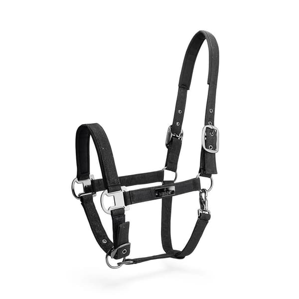 Mrs.ros Halter & Lead Festive Set  Pony