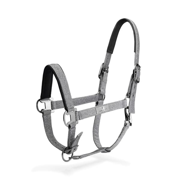 Mrs.ros Halter & Lead Festive Set  Cob