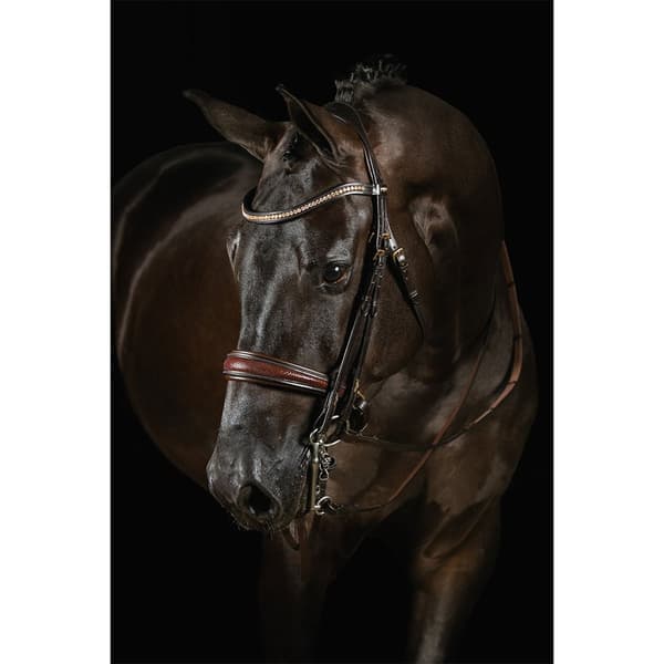 Mrs.ros Dubbelt Träns Knight Power Deluxe  Full