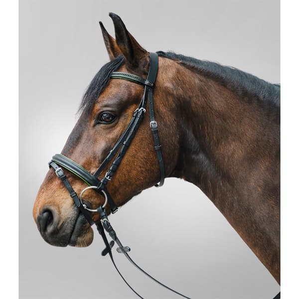 Star Snaffle Diamant Noseband  Mini Shetland