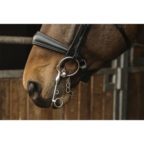 Norton Equestrian Riimu Basal Pony