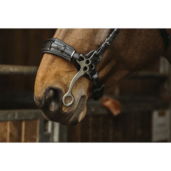 Norton Equestrian Trense Hackamore  Cob