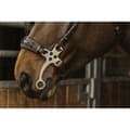 Miniatyrbild 3 av 3: Norton Equestrian Tygla Hackamore  Full