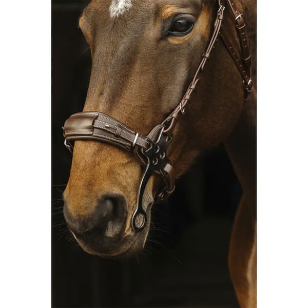 Norton Equestrian Tygla Hackamore  Full