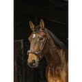 Miniatyrbild 1 av 3: Norton Equestrian Tygla Hackamore  Full