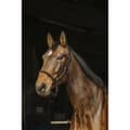 Miniatyrbild 1 av 2: Norton Equestrian Läder Och Rep Grimma  Full