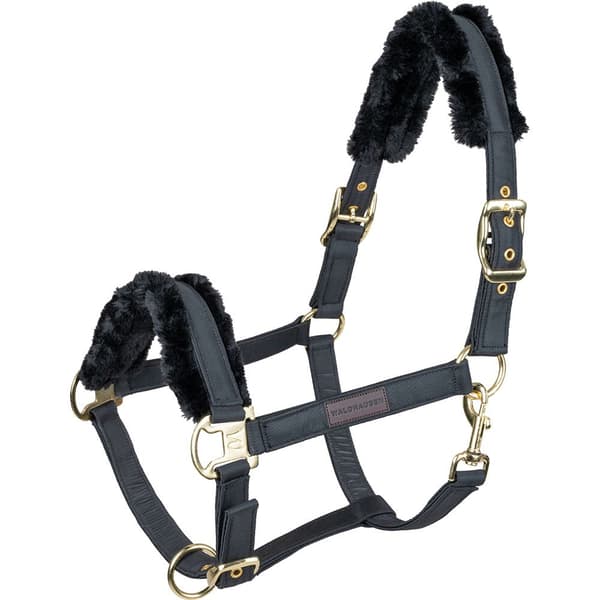 Waldhausen Grime Exclusive  Cob