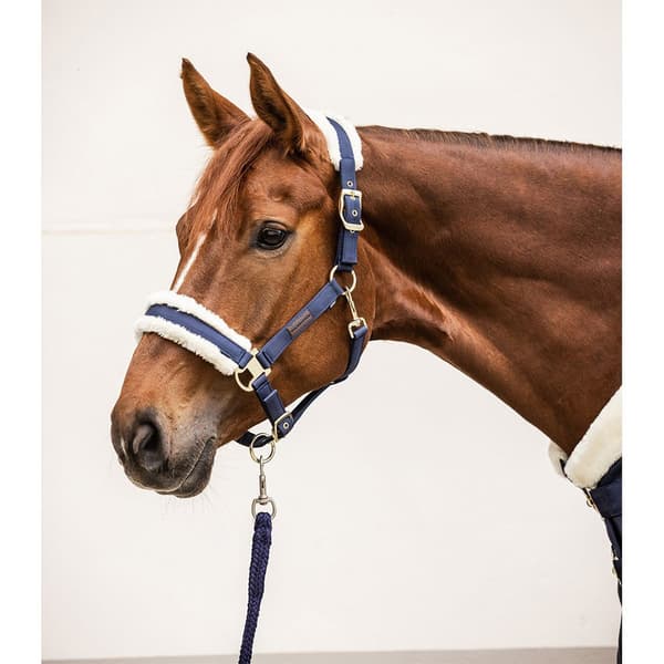 Waldhausen Grime Exclusive  Cob