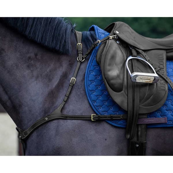 Dyon Anatomisk Brystplade D-collection  Over
