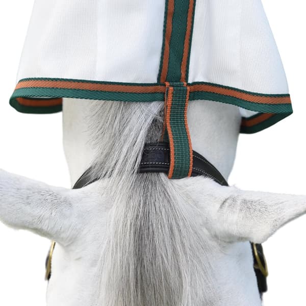 Weatherbeeta Comfitec Tyro Combo Neck Horse Fly Rug