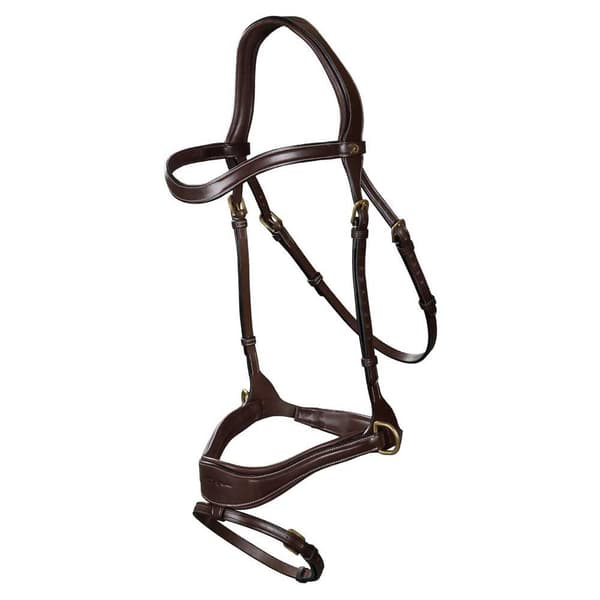 Dyon Tygla D Motion  Pony