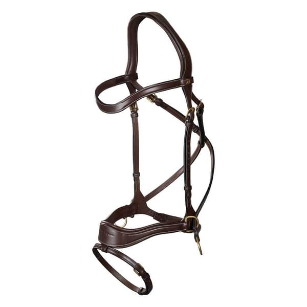 Dyon Tygla D Motion  Pony