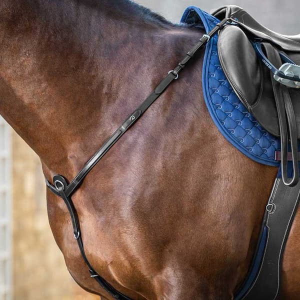 Dyon Bröstskydd New English Collection  Pony