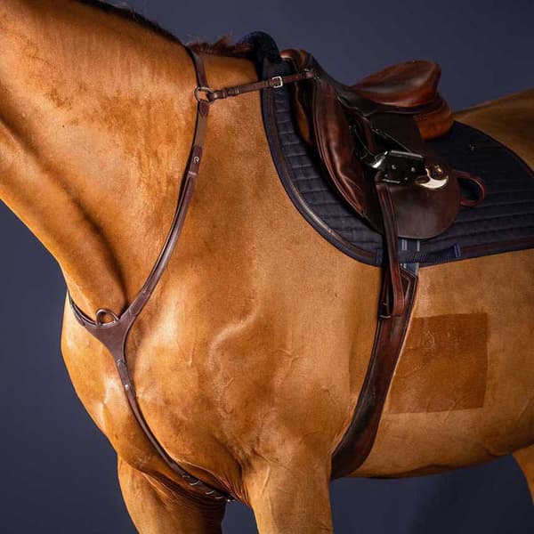 Dyon Brobröst New English Collection  Cob