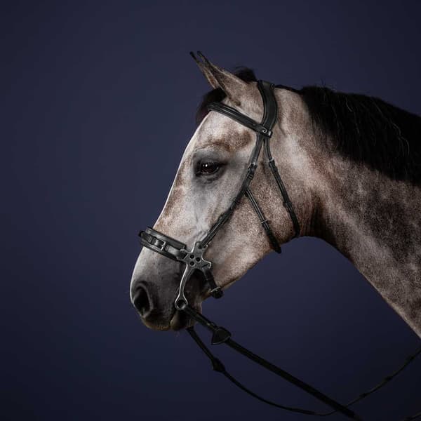 Dyon Tøjle New English Collection Hackamore  Full