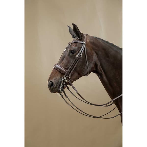 Dyon Matt Stor Vev Nosgrimma Dubbelt Träns Working Collection  Pony
