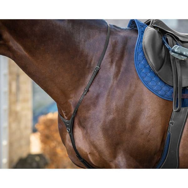 Dyon åg English Collection  Cob