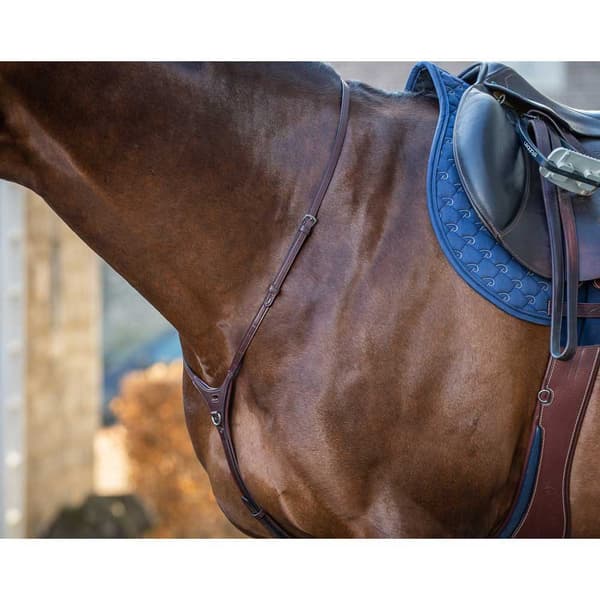 Dyon åg English Collection  Cob