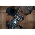 Pikkukuva 2 / 2: Dyon Suojaa Hackamore
