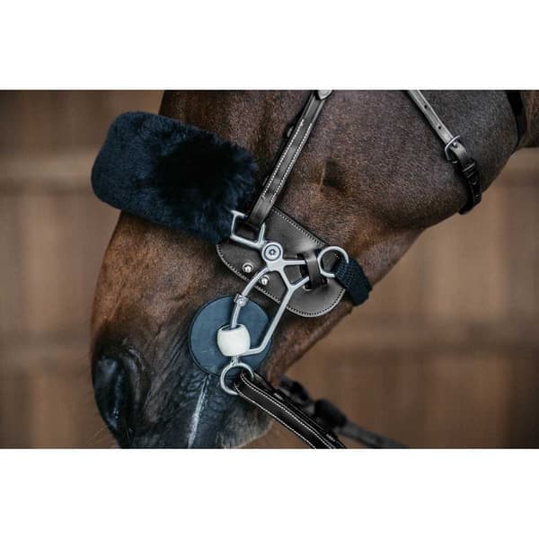Dyon Suojaa Hackamore
