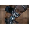 Pikkukuva 2 / 2: Dyon Suojaa Hackamore