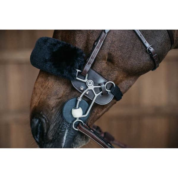 Dyon Suojaa Hackamore