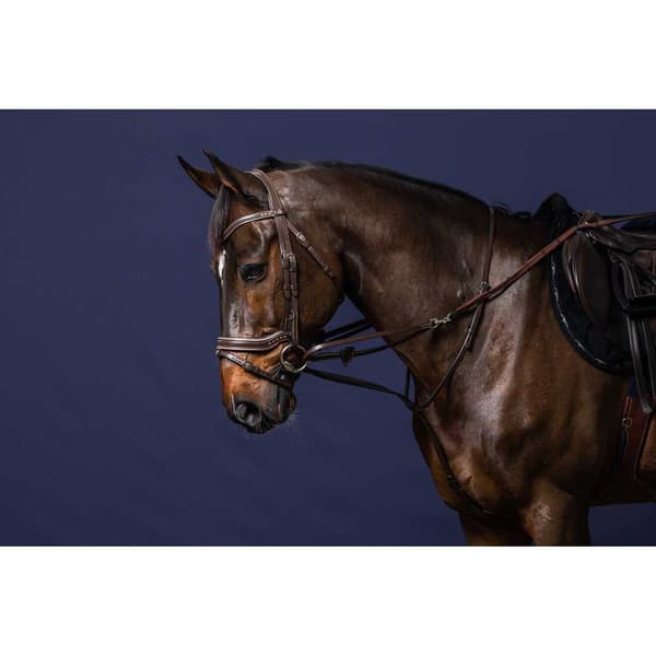 Dyon Fuld Howlett  Pony