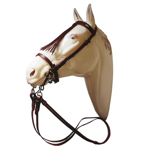 Marjoman Distribucion Ekonomisk Västerländsk Nosgrimma Och Tyglar 01312015mf  Full