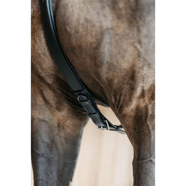 Dyon New English Collection 5 Point Brynje Med Elastik  Cob