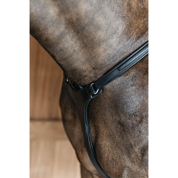 Dyon New English Collection 5 Point Brynje Med Elastik  Cob
