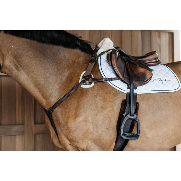 Dyon New English Collection 5 Poäng Bröstskydd Med Elastisk  Cob