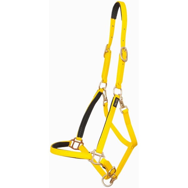 T.de.t Riimu Biotack®  Cob